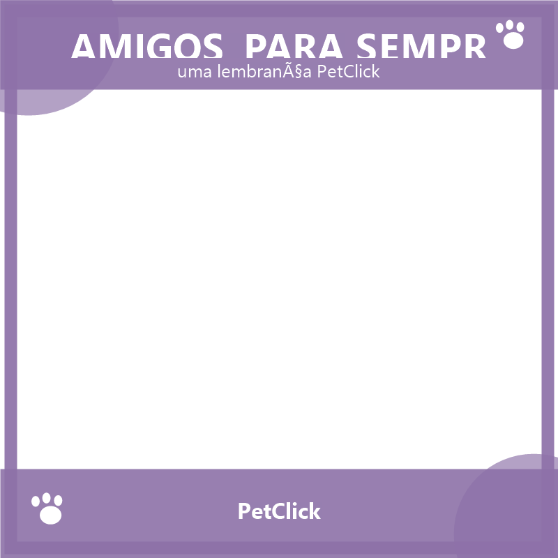 Amigos para sempre